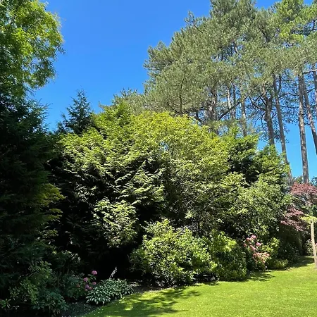 Casa Zandvoort Apartment