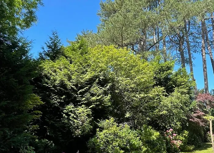 Casa Zandvoort Appartement